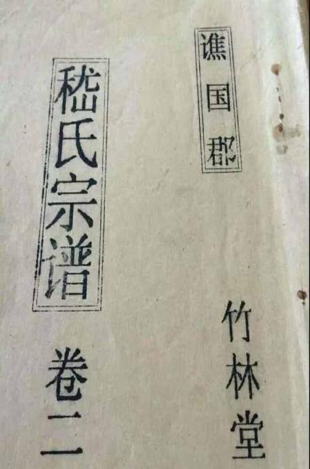 族谱传承谱系